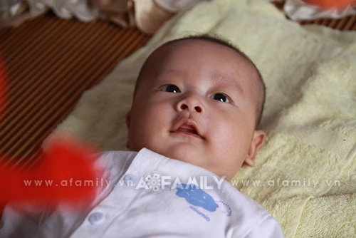 Hình ảnh mới nhất và cái kết viên mãn của cặp đôi "giăng bẫy" và "sập bẫy" tình yêu