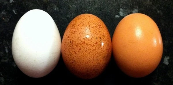 10 điều thú vị về trứng gà mà bạn có thể chưa từng nghe đến ăn uống lành mạnh