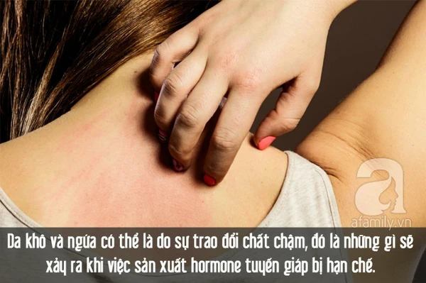8 dấu hiệu cảnh báo bạn cần khám tuyến giáp ngay lập tức cường giáp