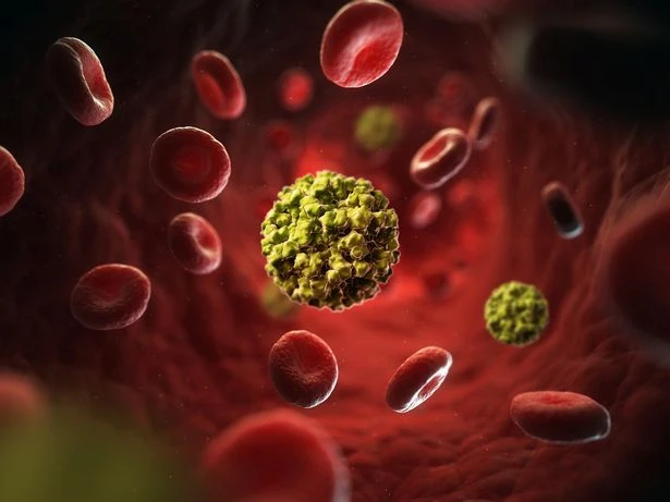 "Cảnh Giác Về Virus Gây Tiêu Chảy, Nôn Mửa Và Đau Bụng Trong Mùa Đông" Norovirus