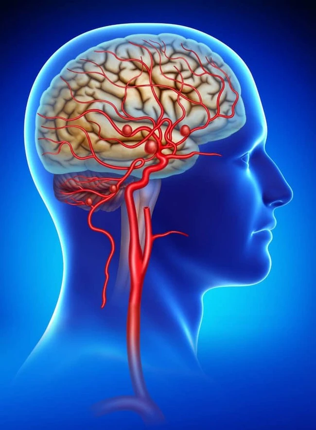 Thói quen sử dụng điện thoại trong nhà vệ sinh có thể gây hại cho 7 cơ quan trong cơ thể. thói quen đi vệ sinh gây hại sức khỏe