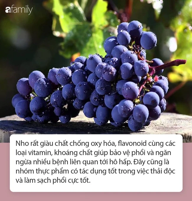 12 loại thực phẩm phụ nữ nên bổ sung để duy trì sức khỏe, vẻ đẹp trẻ trung và bảo vệ tử cung cũng như "vòng 1" khỏi bệnh tật. chống oxy hóa