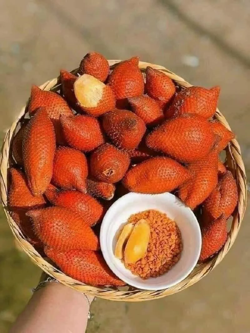 "Quả gai góc xù xì: Bí quyết hạ đường huyết, tốt cho mắt và hỗ trợ giảm cân mà hội chị em đang săn lùng" hạ đường huyết