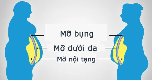 "Loại chất béo cứng đầu nhất trong cơ thể cần được loại bỏ đầu tiên để bảo vệ sức khỏe của bạn" chất béo nội tạng